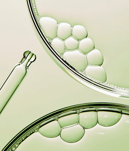 המדע מאחורי