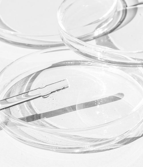 המדע מאחורי