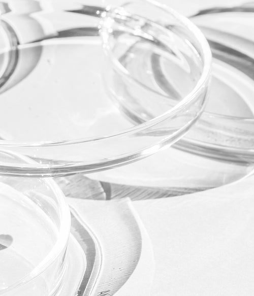 המדע מאחורי