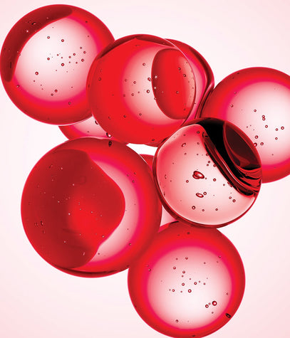 סדרת מיוז החדשה - הדרכה מקצועית - כריסטינה ישראל